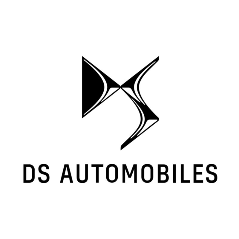 LOGO DS