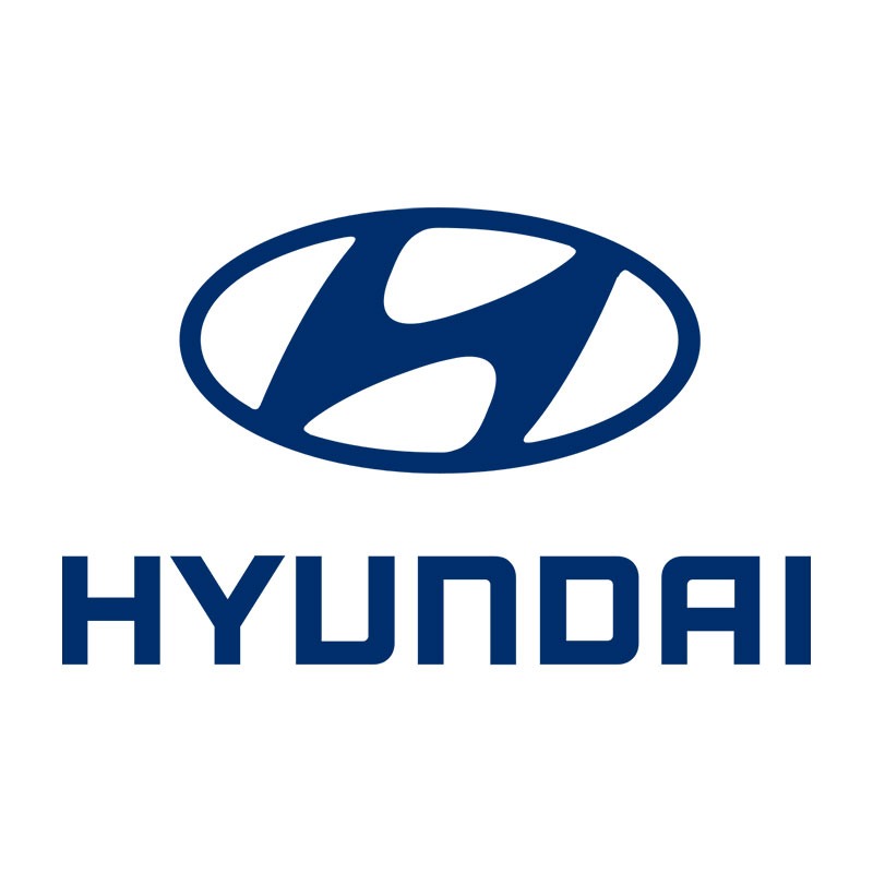 LOGO HYUNDAY