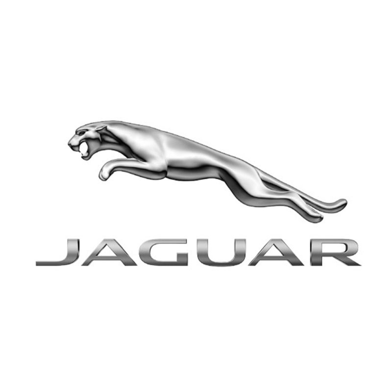 LOGO JAGUAR