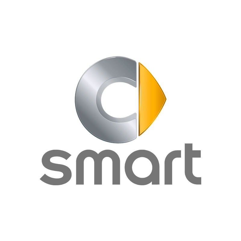 LOGO SMART